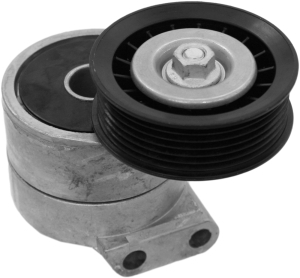 Tensioner in the group  at  Professional Parts Sweden AB (21345022)