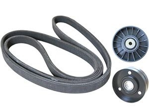 Drive belt kit in the group Engine parts / Drive belt / Drive belt kit at  Professional Parts Sweden AB (21436961)