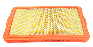 Air filter in the group Filter / Air filter at  Professional Parts Sweden AB (24136144)