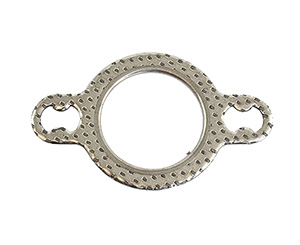 Manifold/exhaust gasket in the group Exhaust parts / Exhaust manifold at  Professional Parts Sweden AB (25340146)