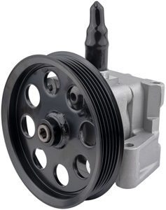 Power steering pump in the group Chassi / Power steering pump & tank at  Professional Parts Sweden AB (61432521)