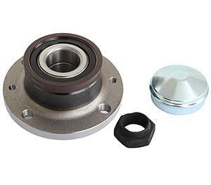 Wheel hub rear in the group Driveline / Wheel bearing & hub at  Professional Parts Sweden AB (77120540)