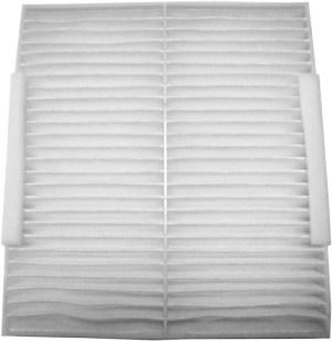 Fresh air filter in the group Filter / Fresh air filter at  Professional Parts Sweden AB (87241080)