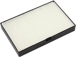 Fresh air filter in the group Filter / Fresh air filter at  Professional Parts Sweden AB (87430070)