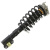 Shock absorber kit with spring and strut
