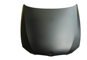 Motorhuv in the group  at  Professional Parts Sweden AB (0062281)