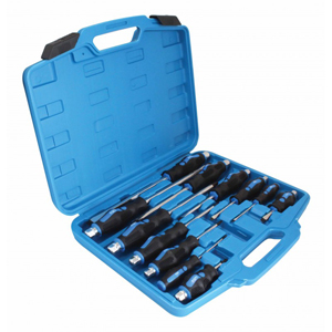 12pcs screwdriver set i gruppen Verktyg & tillbehr / Handverktyg hos  Professional Parts Sweden AB (10991014)