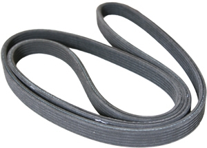 Drive belt i gruppen Motordelar / Drivrem & drivremskit / Drivrem hos  Professional Parts Sweden AB (12,5-1250G)