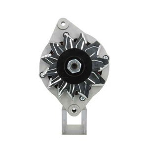 Alternator in the group Electrical system / Alternator / Alternator at Professional Parts Sweden AB (135007070010)