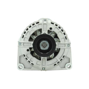 Alternator in the group Electrical system / Alternator / Alternator at  Professional Parts Sweden AB (135536100010)