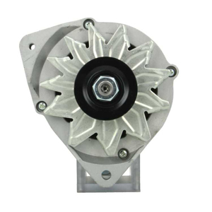 Alternator in the group Electrical system / Alternator / Alternator at  Professional Parts Sweden AB (205014090010)