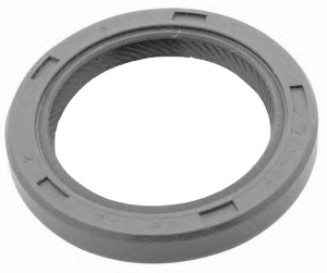 Cam seal ring Replaced by 21343983 i gruppen Tillflligt dolda artiklar hos  Professional Parts Sweden AB (21340000)
