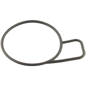 O-ring in the group Engine parts / Gasket set at  Professional Parts Sweden AB (21340287)