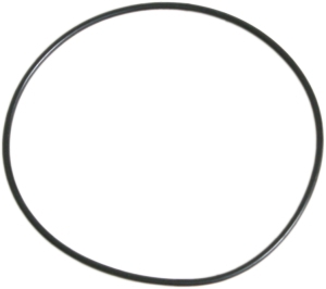 O-ring in the group Engine parts / Gasket set at  Professional Parts Sweden AB (21340600)