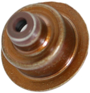 Valve steam seal i gruppen Motordelar / Packningssats hos  Professional Parts Sweden AB (21340861)