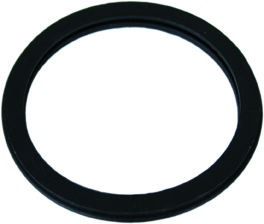 Gasket seal in the group Engine parts / Thermostat at  Professional Parts Sweden AB (21343058)