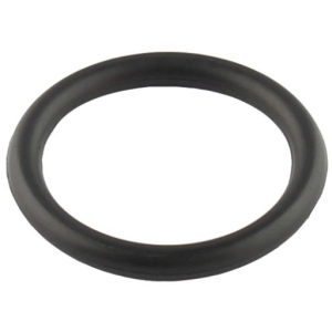 O-ring i gruppen Motordelar / Packningssats hos  Professional Parts Sweden AB (21347379)