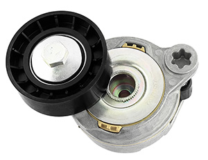 Tensioner v-ribbed belt in the group Engine parts / Tensioner and Pulleys at  Professional Parts Sweden AB (21430379)