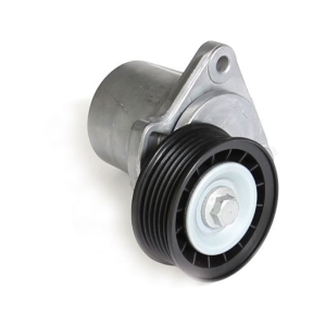 Tensioner v-ribbed belt i gruppen Motordelar / Spnnare & remskivor hos  Professional Parts Sweden AB (21431938)