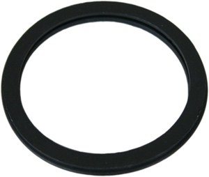 Gasket seal i gruppen Motordelar / Termostat hos  Professional Parts Sweden AB (21432214)