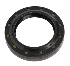 Oil Seal in the group Engine parts / Gasket set at  Professional Parts Sweden AB (21433481)