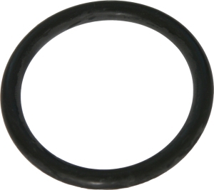 Gasket seal in the group Engine parts / Thermostat at  Professional Parts Sweden AB (21435455)