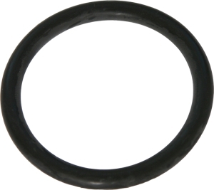 Gasket seal in the group Engine parts / Thermostat at Professional Parts Sweden AB (21435455)