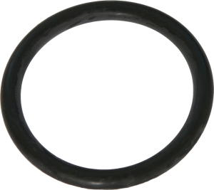 Gasket seal i gruppen Motordelar / Termostat hos  Professional Parts Sweden AB (21435455)