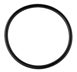 Gasket seal in the group Engine parts / Thermostat at  Professional Parts Sweden AB (21437183)