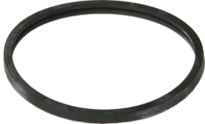 Gasket seal in the group Engine parts / Thermostat at  Professional Parts Sweden AB (21438375)