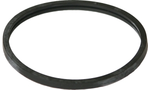 Gasket seal i gruppen Motordelar / Termostat hos  Professional Parts Sweden AB (21438375)