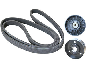 Drive belt kit i gruppen Motordelar / Drivrem & drivremskit / Drivremskit hos  Professional Parts Sweden AB (21438511)