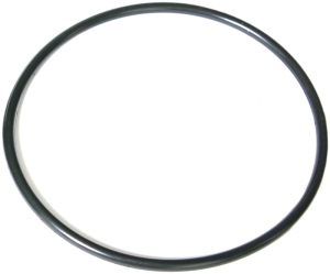 O-ring fuel pump i gruppen Motorstyrning / Brnslepumpsenhet hos  Professional Parts Sweden AB (23340511)