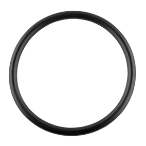 O-ring for fuel pump in the group Engine control / Fuel Pump Unit at  Professional Parts Sweden AB (23439276)
