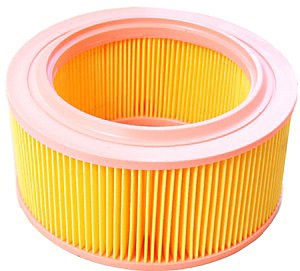 Air filter i gruppen Filter / Luftfilter hos  Professional Parts Sweden AB (24343420)