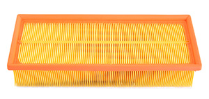 Air filter in the group Filter / Air filter at  Professional Parts Sweden AB (24429620)