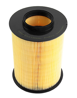 Air filter i gruppen Filter / Luftfilter hos  Professional Parts Sweden AB (24432881)