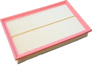 Air filter in the group Filter / Air filter at  Professional Parts Sweden AB (24436361)