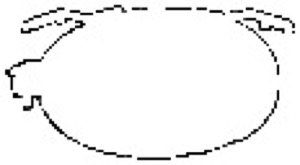 H�llare Avgassystem in the group Exhaust parts / Exhaust spare parts at  Professional Parts Sweden AB (251-901)