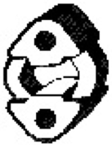 Gummilist Avgassystem in the group  at  Professional Parts Sweden AB (255-058)