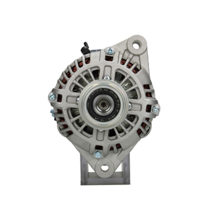 Alternator in the group Electrical system / Alternator / Alternator at  Professional Parts Sweden AB (255602110000)