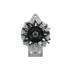 Alternator in the group Electrical system / Alternator / Alternator at Professional Parts Sweden AB (255801060120)