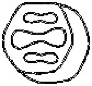 Gummilist Avgassystem in the group  at  Professional Parts Sweden AB (255-946)