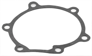Water pump gasket for 26349948 in the group Engine parts / Water pump at  Professional Parts Sweden AB (26349948-1)