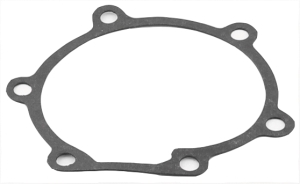 Water pump gasket for 26349948 i gruppen Motordelar / Vattenpump hos  Professional Parts Sweden AB (26349948-1)