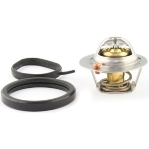 Thermostat i gruppen Motordelar / Termostat hos Professional Parts Sweden AB (26439958)