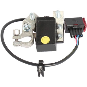 Battery main switch in the group Electrical system / Switches and sensors at  Professional Parts Sweden AB (28341308)