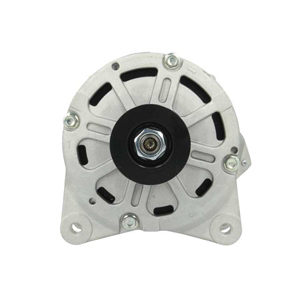 Alternator i gruppen Elsystem / Generator / Generator hos Professional Parts Sweden AB (305412190080)