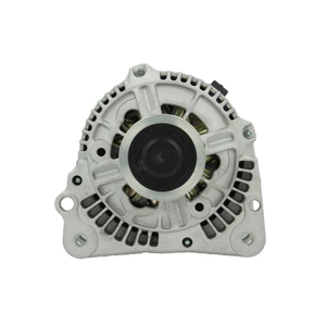 Alternator in the group Electrical system / Alternator / Alternator at Professional Parts Sweden AB (305505070010)