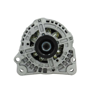 Alternator in the group Electrical system / Alternator / Alternator at Professional Parts Sweden AB (305513090010)